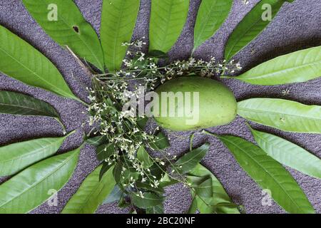 Ugadi telugu Neujahr andhrula pachadi. Stockfoto