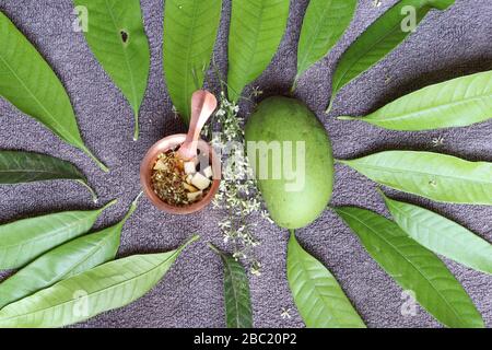 Ugadi telugu Neujahr andhrula pachadi. Stockfoto