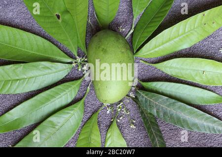 Ugadi telugu Neujahr andhrula pachadi. Stockfoto