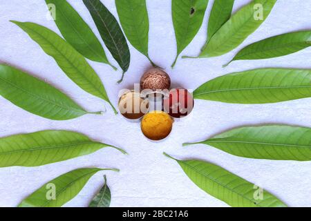 Ugadi telugu Neujahr andhrula pachadi. Stockfoto