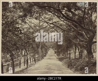 Grants Welttournee China. Hongkong. "Der Hain." 16. Mai 1879. Stockfoto