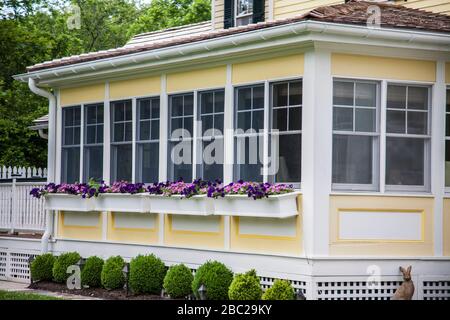 Gelbes Haus Veranda mit einer Reihe von Frühling Fensterbox mit Petunias, Cape May, New Jersey, USA, amerikanische lila und rosa Blume Grenze Frühling Stockfoto