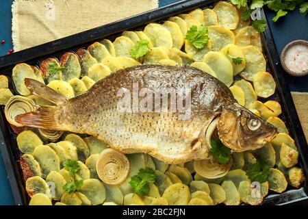 Gebackene Karpfen, ganze Fische aus dem Ofen mit Kartoffelscheiben auf einem großen Tablett traditionelle polnische Gerichte Stockfoto