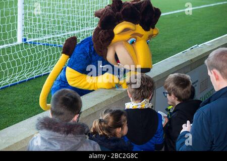 Kinder, Kinder, junge Fußballfans stehen während der Halbzeit im Kings Meadow Stadium für Autogramme von Chelsea Womens / Women Football Club Maskottchen. (116) Stockfoto