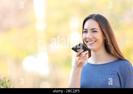 Glückliches Mädchen, das sms mit Spracherkennung auf dem Handy in einem Park aufzeichnet Stockfoto