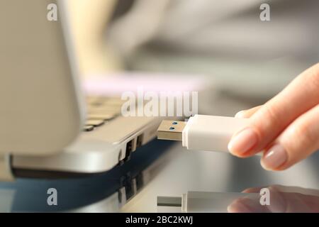 Nahaufnahme der Hände der Frau Anschluss eines usb-Flash-Laufwerks an einen Laptop-Computer Stockfoto