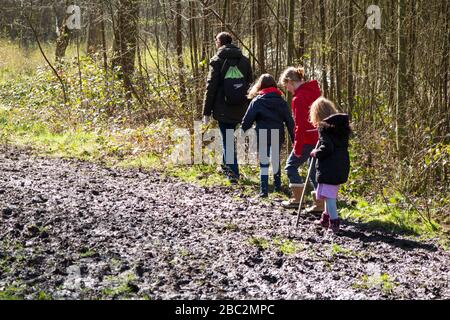 Mutter/Mutter/Mutter/Mutter, die mit ihren drei Kindern an einem Frühlingstag auf einem schlammigen Weg durch Wälder auf West End Common, Esher, Surrey durch den Schlamm spazieren. GROSSBRITANNIEN (116) Stockfoto