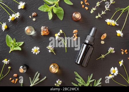 Flaschen ätherisches Öl mit Weihrauch, Kamille, Oregano, Majoran und anderen Kräutern Stockfoto