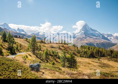 Schöne Straße auf der Wiese mit Bäumen in der Nähe von Matternhorn in den schweizer Alpen in der Nähe der Stadt Zermatt Stockfoto