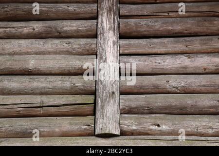 Holzwand eines Hauses aus dicken Holzstämmen Stockfoto