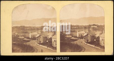 Gruppe von 17 frühen Calotype Stereograph Views - DP75396. Stockfoto