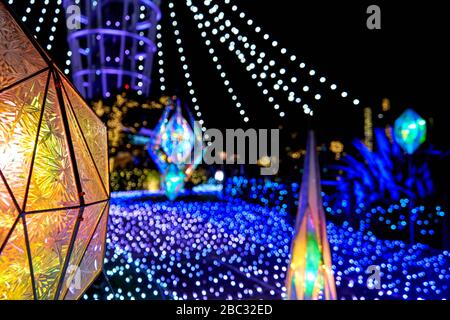 Nacht im schön beleuchteten Park in Japan Stockfoto