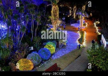 Garten mit verschiedenen Lichtern während der Weihnachtszeit Stockfoto