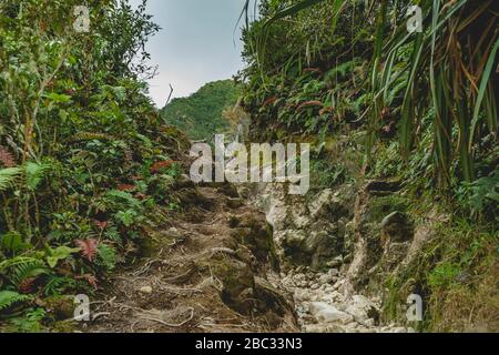 Der Bergvulkan Gunung Sibayak ist eines der am besten zugänglichen Berge in ganz Indonesien und dennoch ein schöner kurzer Weg durch den schlammigen Regenwald Stockfoto