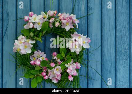 Apfelblütenkranz auf Holzhintergrund Stockfoto