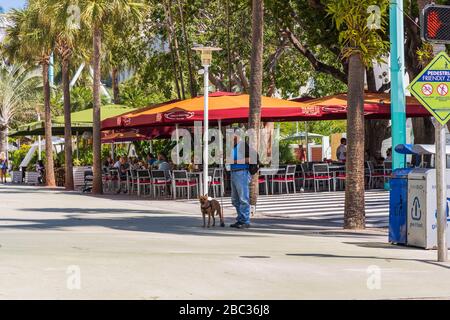 Blinder Mann mit Blindenhund auf Crosslauf. Menschen im Außenrestaurant im Hintergrund. USA. Miami South Beach. Stockfoto