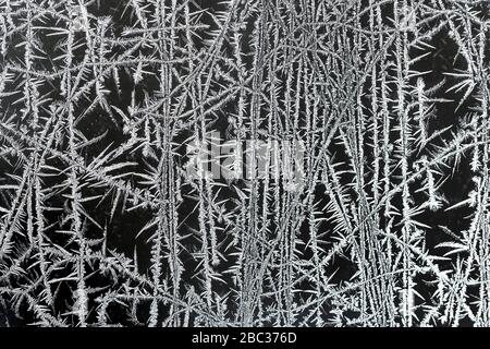 Frostkristalle, die nach einer kalten Nacht auf einer Fensterscheibe wachsen, Central Michigan, USA Stockfoto