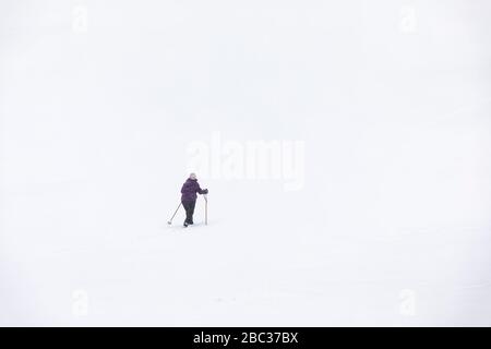 Karen Rentz Skilangläufer an einem Wintertag auf einem Golfplatz in Canadian Lakes, Michigan, USA Stockfoto