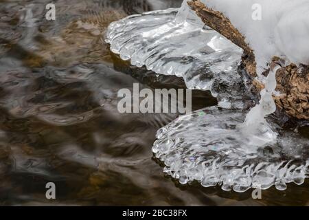 Eis sammelt sich bei einem Zauber des kalten Wetters an Ästen und Baumstämmen im Chippewa River, Deerfield Nature Park, Mount Pleasant, Michigan, U Stockfoto