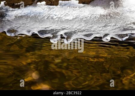 Eis sammelt sich bei einem Zauber des kalten Wetters an Ästen und Baumstämmen im Chippewa River, Deerfield Nature Park, Mount Pleasant, Michigan, U Stockfoto