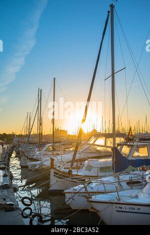 Sonnenaufgang Paseo Maritimo mit Hafen und Kathedrale, Palma de Mallorca, Balearen, Spanien Stockfoto