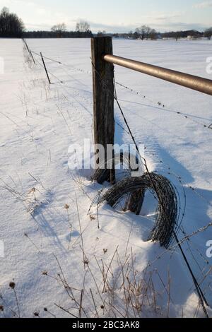Rollen mit Stacheldraht entlang eines Zauns auf einer Amish-Farm in Zentral-Michigan, USA Stockfoto