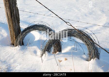 Rollen mit Stacheldraht entlang eines Zauns auf einer Amish-Farm in Zentral-Michigan, USA Stockfoto