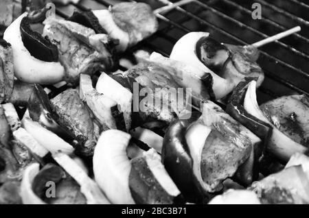 Leckere Mischung Spieße mit Huhn & Gemüse Stockfoto