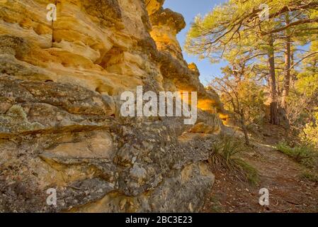 Eine Felsformation entlang des Telephone Trail nördlich von Sedona AZ nannte den Reef Wall. Die Felsenfenster an seiner Seite werden Peep-Löcher genannt. Stockfoto