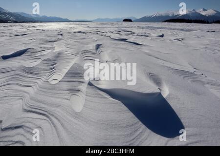 Texturen und Linien in geblasenem Schnee am Atlin Lake, mit blauem Himmel, bewaldeten Inseln und Bergen. An einem dieser knusprigen arktischen Wintermorgen. Eleganz! Stockfoto