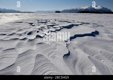 Texturen und Linien in geblasenem Schnee am Atlin Lake, mit blauem Himmel, bewaldeten Inseln und Bergen. An einem dieser knusprigen arktischen Wintermorgen. Eleganz! Stockfoto