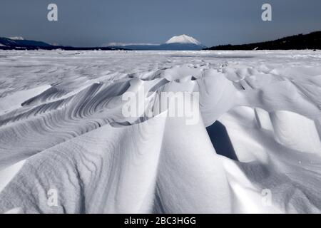 Texturen und Linien in geblasenem Schnee am Atlin Lake, mit blauem Himmel, Wald und Mount Minto. An einem dieser knusprigen arktischen Wintermorgen. Die Eleganz der Natur Stockfoto