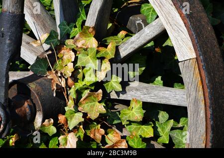 Nahaufnahme des alten Schlittens Stockfoto