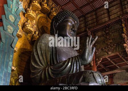 Seitenansicht des großen Buddha (Daibutsu) in der Haupthalle des Todaiji-Tempels, Nara, Japan Stockfoto