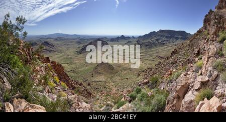 Panorama der kalifornischen Mojave-Wüste im Frühjahr auf der Seite des Mopah Peak Stockfoto