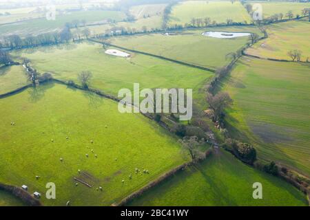 Frische grüne Bauernfelder von Shropshire in Großbritannien - Drohnenblick Stockfoto