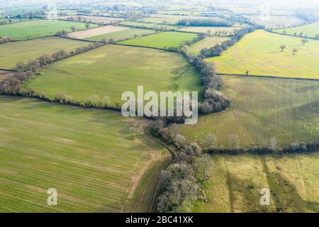 Frische grüne Bauernfelder von Shropshire in Großbritannien - Drohnenblick Stockfoto