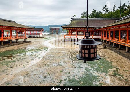 Eine hängende Laterne am Itsukushima-Schrein und das berühmte Torii-Tor im Hintergrund, das gerade renoviert wird, Miyajima-Insel, Japan Stockfoto