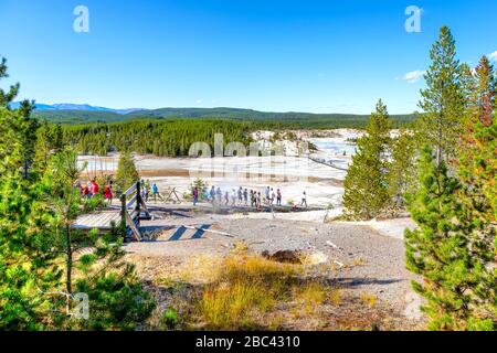 Unerkennbare Besucher, die auf dem Boardwalk Trail im Porzellanbecken spazieren, umgeben von geothermischen Pools im Norris Geyser Basin der Yellowstone Nation Stockfoto