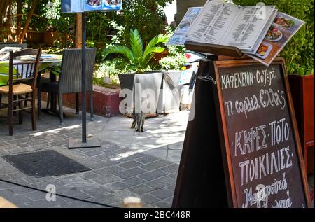 Ein kleines graues und weißes Tabby-Kätzchen oder eine Katze spazieren in einem Straßencafé in Athen, Griechenland, unter die Tische. Stockfoto