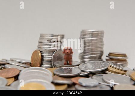 Florianopolis, Brasilien, 28. März 2020: Basset überhäuft den Geldhaufen - Konzept der Tierausgaben. Der beste Freund des Mannes. Tierischer Markt. Stockfoto