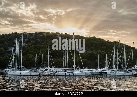 Segelboote in einem Yachthafen auf den Kroatien-Inseln bei Sonnenuntergang, Bäume im Hintergrund, Sonnenschein Stockfoto