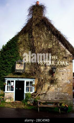 Schöne alte Einfamilienhaus reetgedeckten Landhaus im Dorf Ashmore, Dorset, England, UK im Sommer Stockfoto