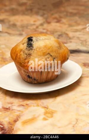 Blueberry Muffin von James D Coppinger/Dembinsky Photo Assoc Stockfoto