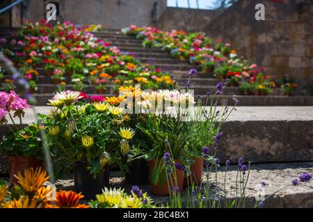 Treppenhaus im Gotischen Viertel Girona dekorierte Blumen Tiempo de Flors Festival Stockfoto