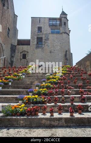 Treppenhaus im Gotischen Viertel Girona dekorierte Blumen Tiempo de Flors Festival Stockfoto