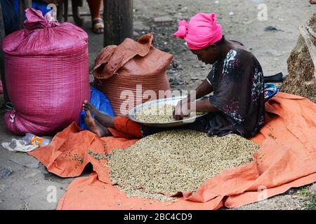 Eine äthiopische Frau, die Kaffeebohnen in der Region Oromia in Äthiopien sortiert. Stockfoto