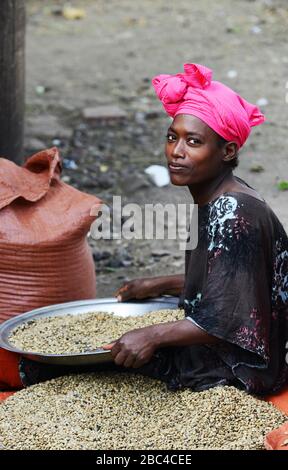 Eine äthiopische Frau, die Kaffeebohnen in der Region Oromia in Äthiopien sortiert. Stockfoto