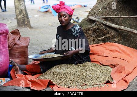 Eine äthiopische Frau, die Kaffeebohnen in der Region Oromia in Äthiopien sortiert. Stockfoto