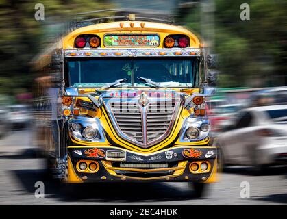 Ein bunt bemalter "Hühnerbus" brüllt eine Straße in Antigua, Guatemala. Stockfoto